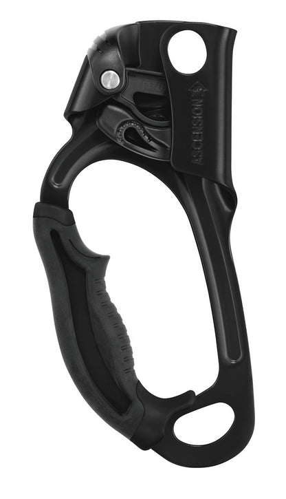 PETZL® ASCENSION