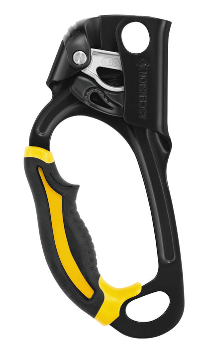 PETZL® ASCENSION