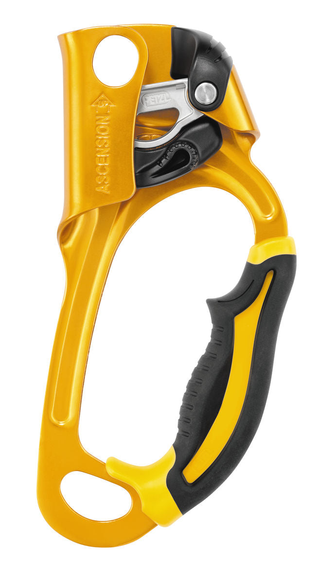 PETZL® ASCENSION