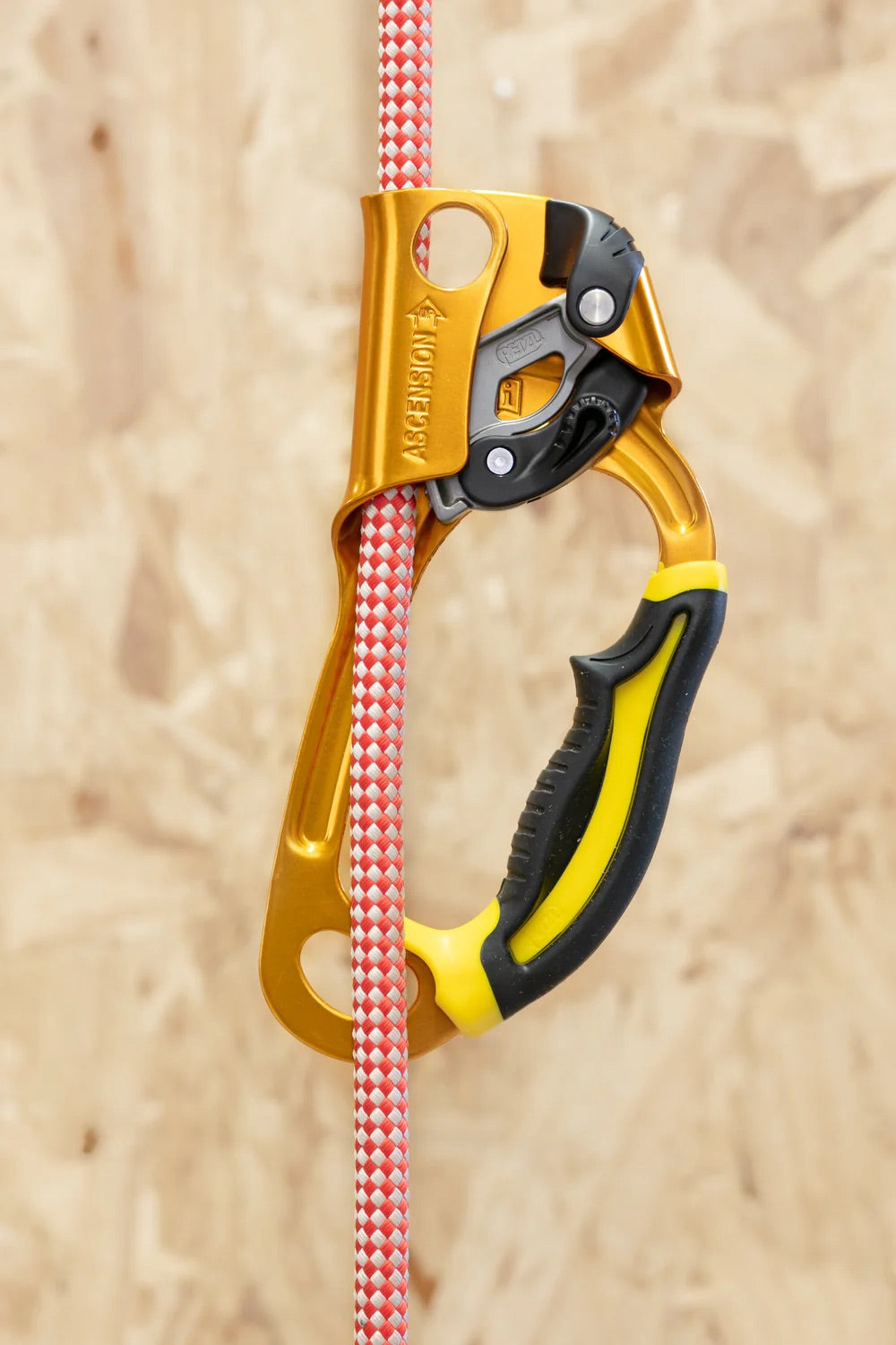 PETZL® ASCENSION