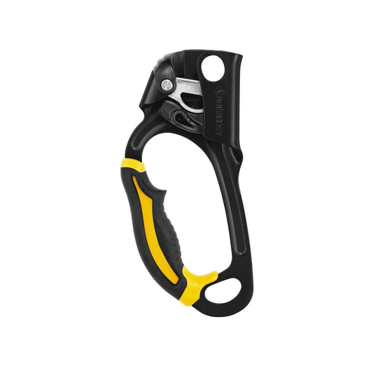 PETZL® ASCENSION